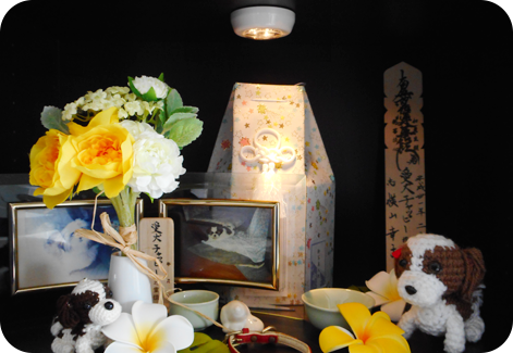 納骨棚（１階個別葬）